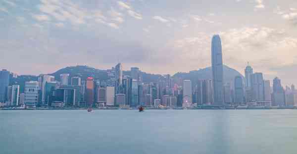 上外网2023