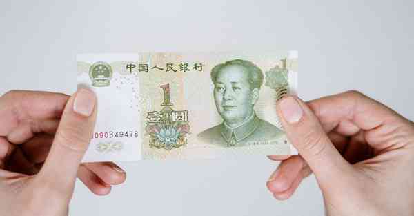 茉莉加速器