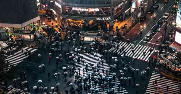 迅雷加速器手机版