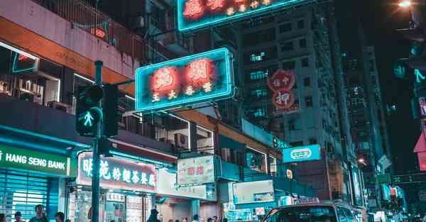 狸猫网络加速器免费